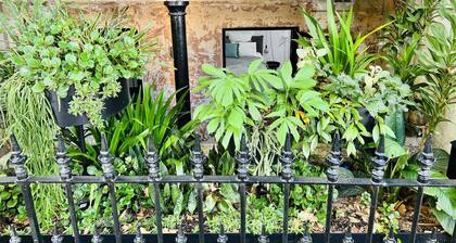 Live like a local in the heart of Surry Hills
