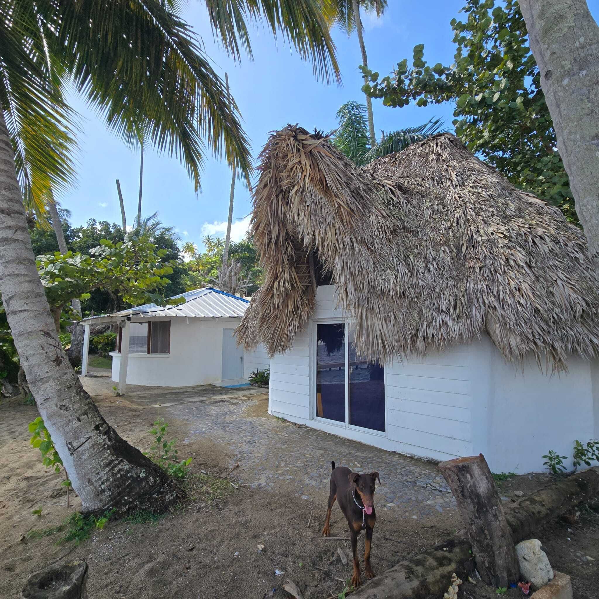 Basic Room | 6 bedrooms, free WiFi