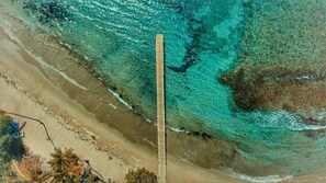 Ein Strand mit klarem türkisblauem Wasser, einer Holzpromenade und einer Palme.