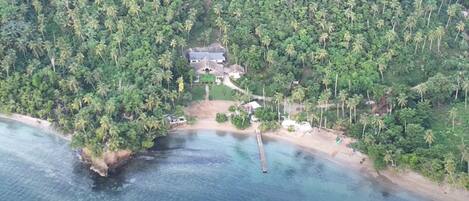Helicopter/plane tours
