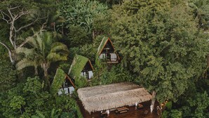 Et træhusrresort med stråtækte hytter omgivet af tæt skov.