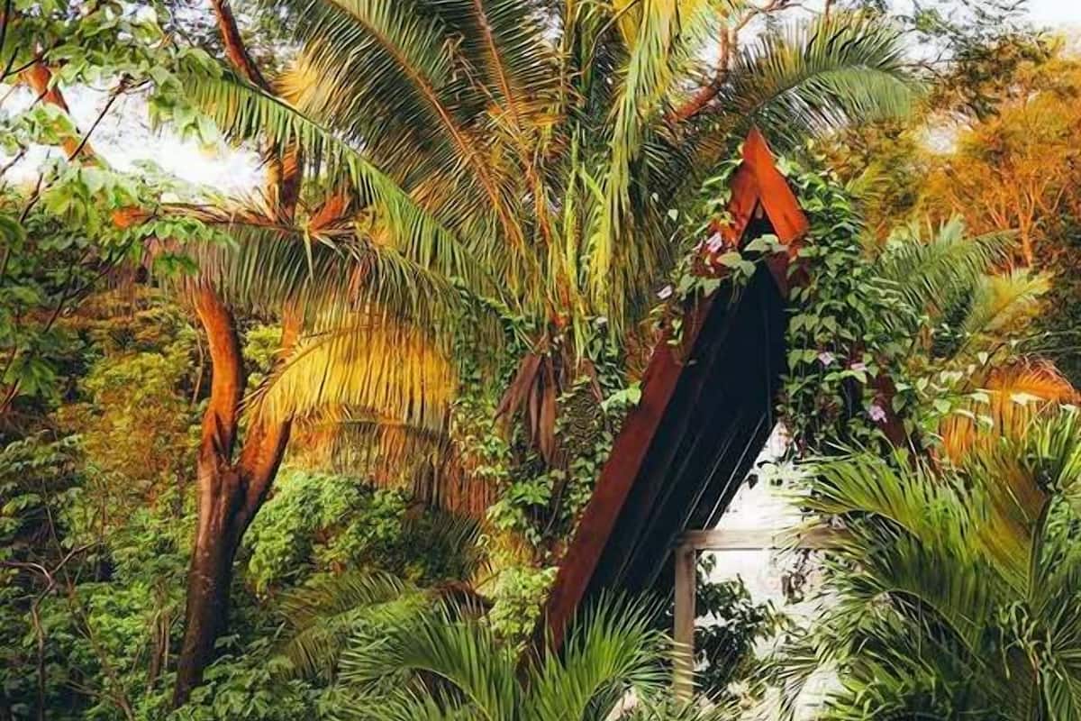Ein üppiger Innenhofgarten mit einer Holztreppe, die zu einer Glastür führt.