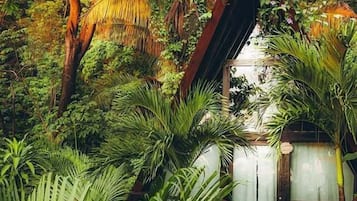 Bungalow Bohemia Maya | Odada kasa, ayrı ayrı dekore edilmiş, ayrı ayrı döşenmiş