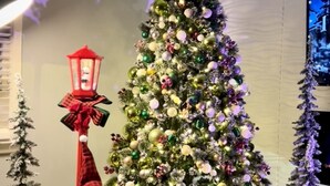 Esposizione natalizia con un albero decorato di grandi dimensioni, una lanterna e alberi più piccoli.