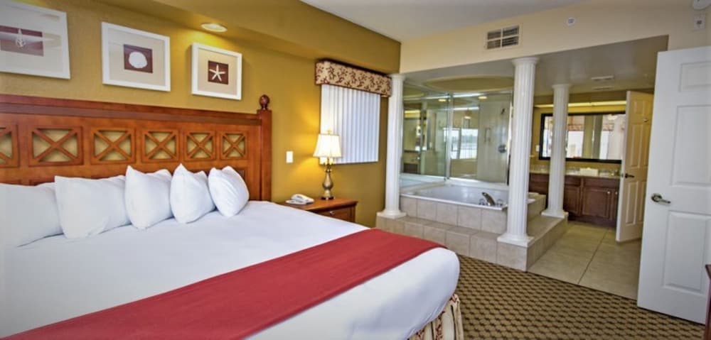 Picture of Unlock Versatility: The Lock-Off at Botánika Osa Peninsula