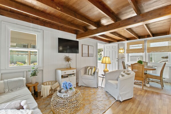 Smart TV, fireplace, books