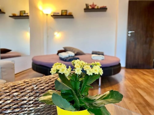 Donna's Apt/1 BDR @ Lozenets