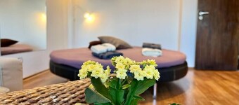 Donna's Apt/1 BDR @ Lozenets