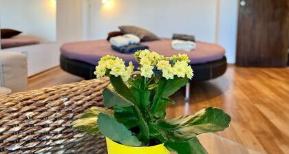 Donna's Apt/1 BDR @ Lozenets