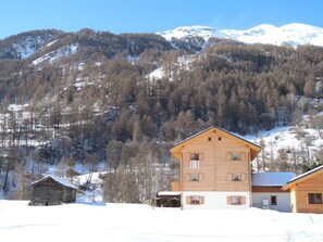 Exterior - Beautiful apartment for 4 guests with WIFI, TV, terrace and panoramic view (Evolène)