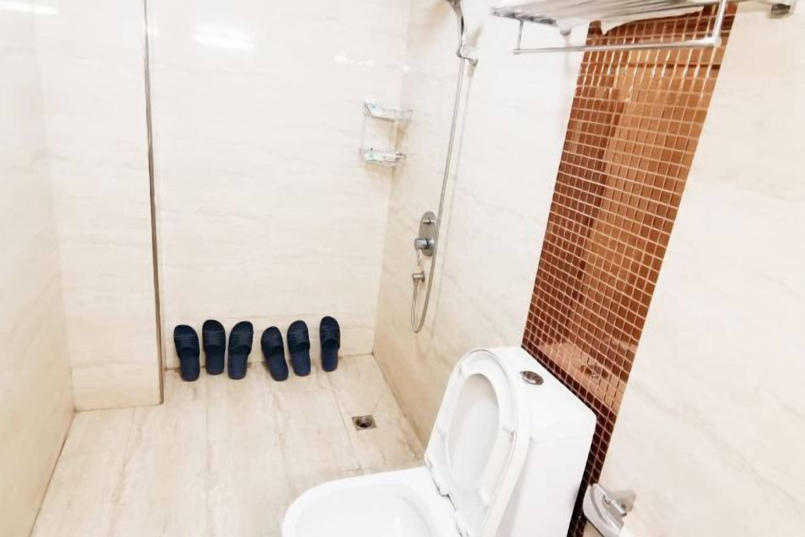 A small bathroom with a white toilet, a shower area, and a tiled wall.
