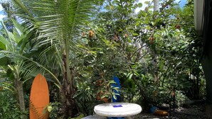 Un giardino con tavolo e panche, circondato da piante tropicali e una tavola da surf.
