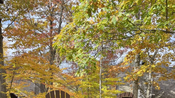 A wooden deck with a table and chairs, surrounded by trees with autumn foliage. - Relax and unwind Townhome in Snow Ridge Village at Jack Frost mtn in the Poconos (Lake Harmony)