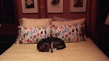 5 dormitorios y ropa de cama