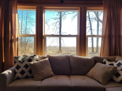 Woodland cabin on the Bay