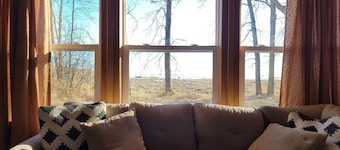 Woodland cabin on the Bay