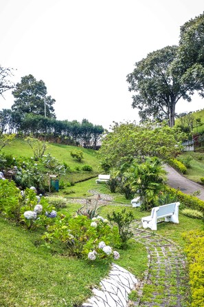 Property grounds - Hotel Colinas AltaVista (Salitrillos)