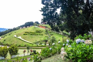 Property grounds - Hotel Colinas AltaVista (Salitrillos)