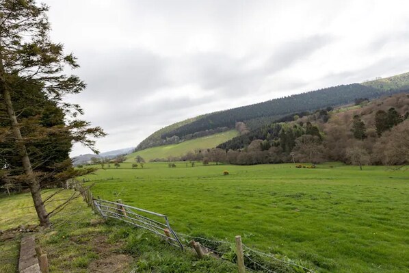 A rural landscape with a green field, a fence, and a hill with trees.