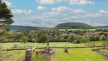Cabin | Khuôn viên nơi lưu trú