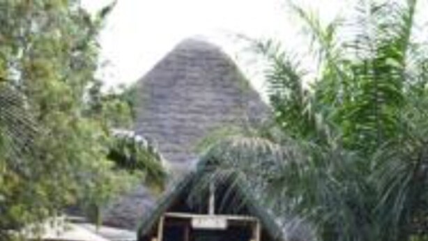 A thatched-roof structure with a covered seating area and tables, surrounded by lush greenery.