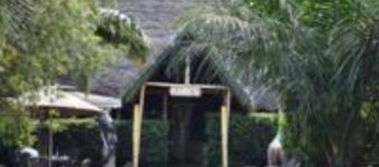 Dian Fossey Nyiramacibir Hotel