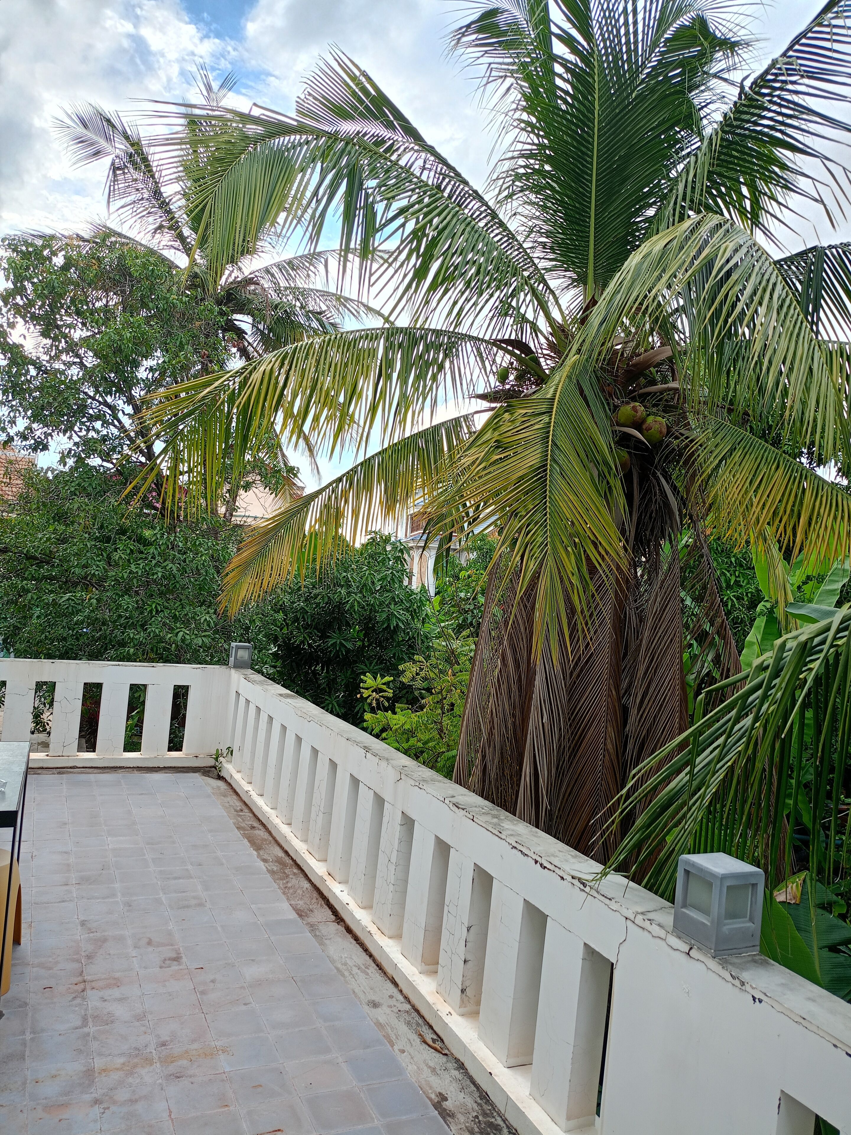 Phòng đôi tiện nghi đơn giản | Quang cảnh từ phòng