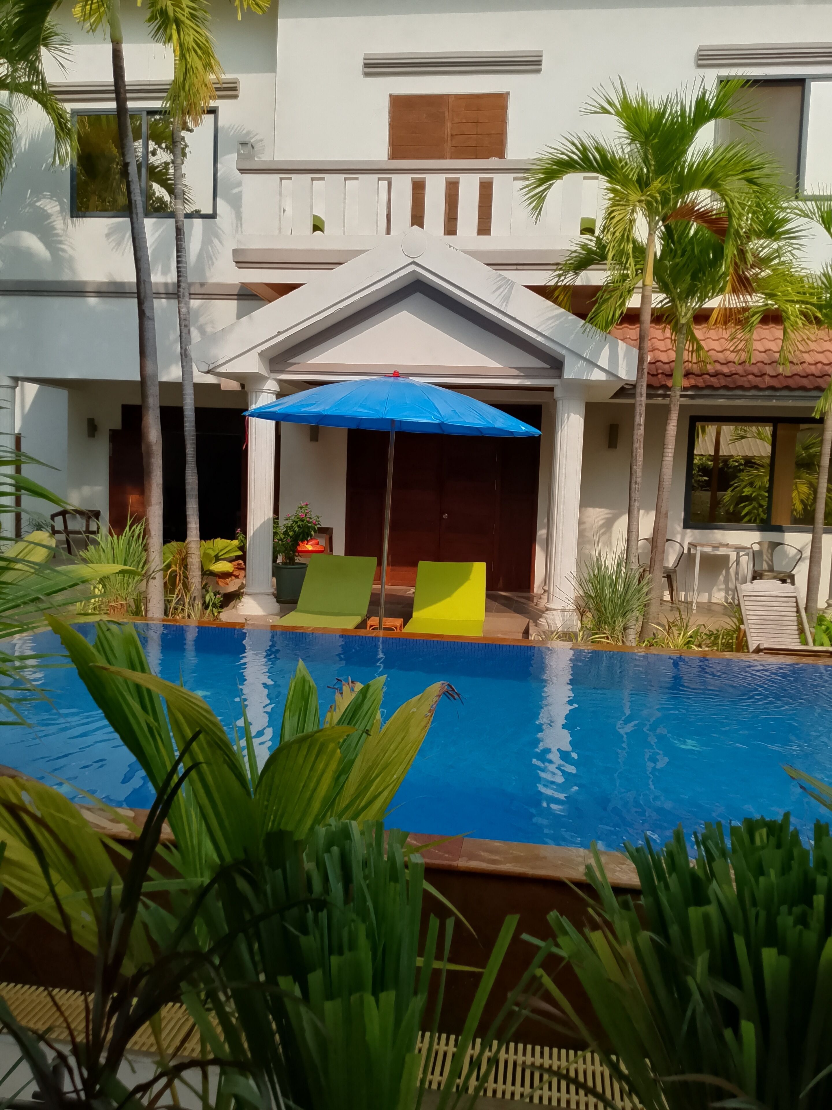 Une piscine avec un parasol bleu, entourée de palmiers et de plantes en pot.