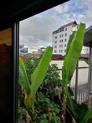 Deluxe-Dreibettzimmer | Ausblick vom Zimmer