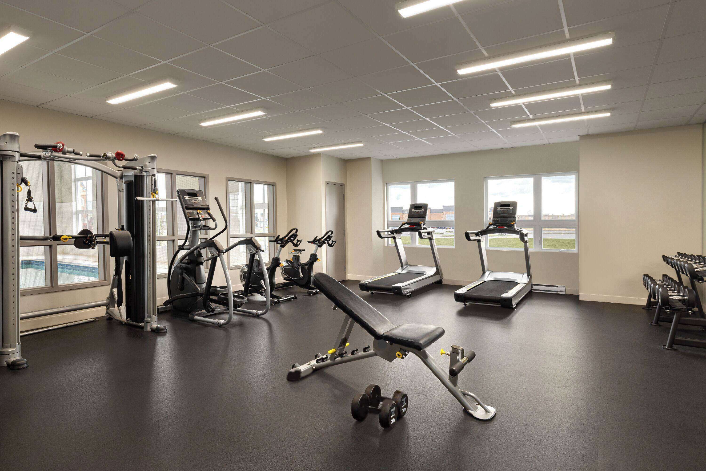 A gym with treadmills, elliptical machines, and free weights.