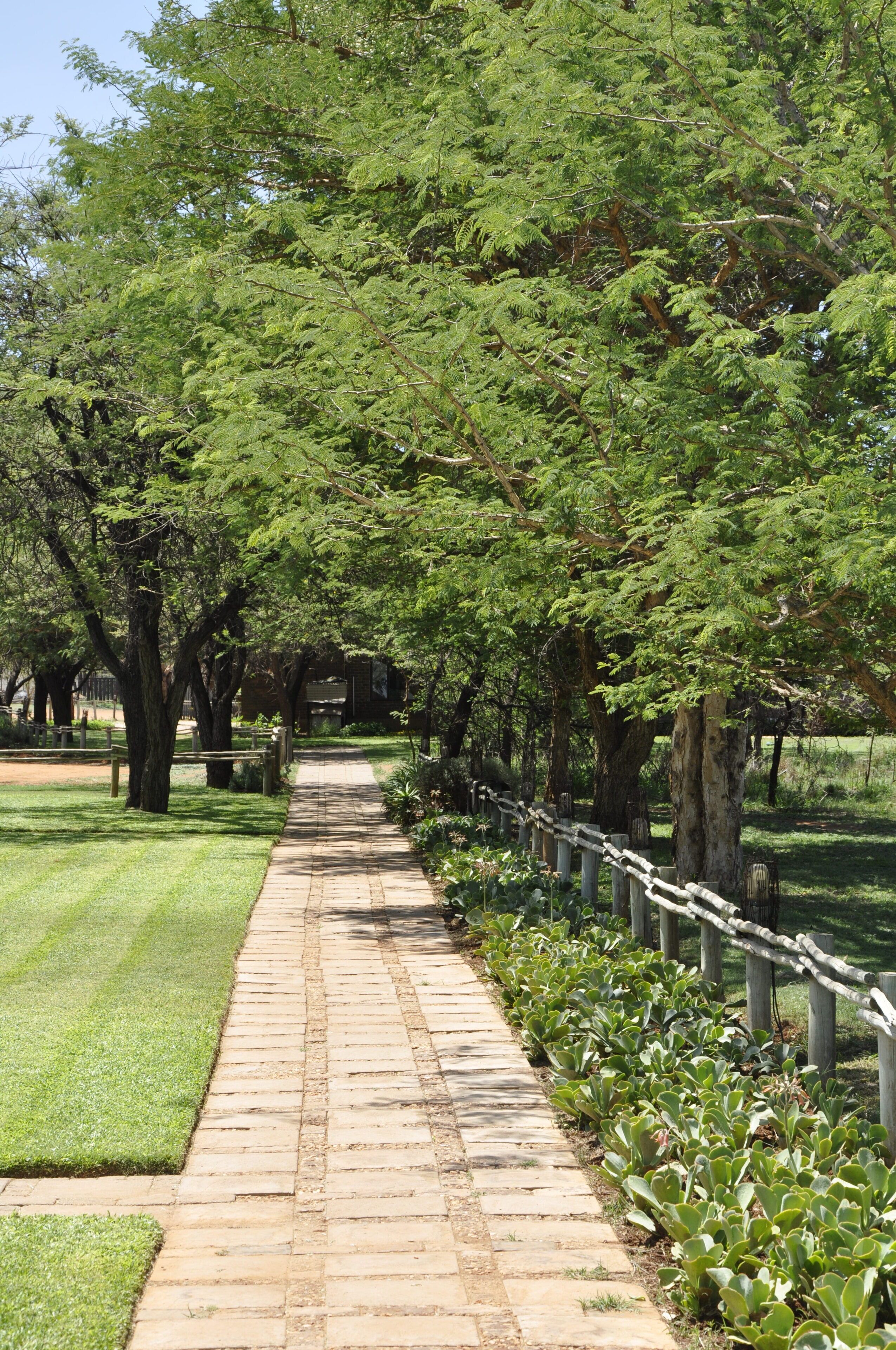 Un sendero pavimentado bordeado por árboles verdes exuberantes y una cerca metálica, que conduce a un parque.