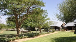Taman
