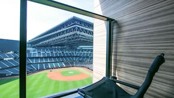 Familieloftsrom, bakgårdsutsikt, tårn | Terrasse/patio