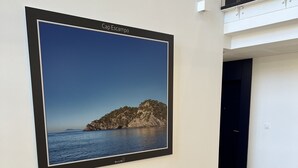 Ein Zimmer mit einem großen gerahmten Foto einer Küstenlandschaft an der Wand, Holzboden und einer dunkel gefärbten Tür.