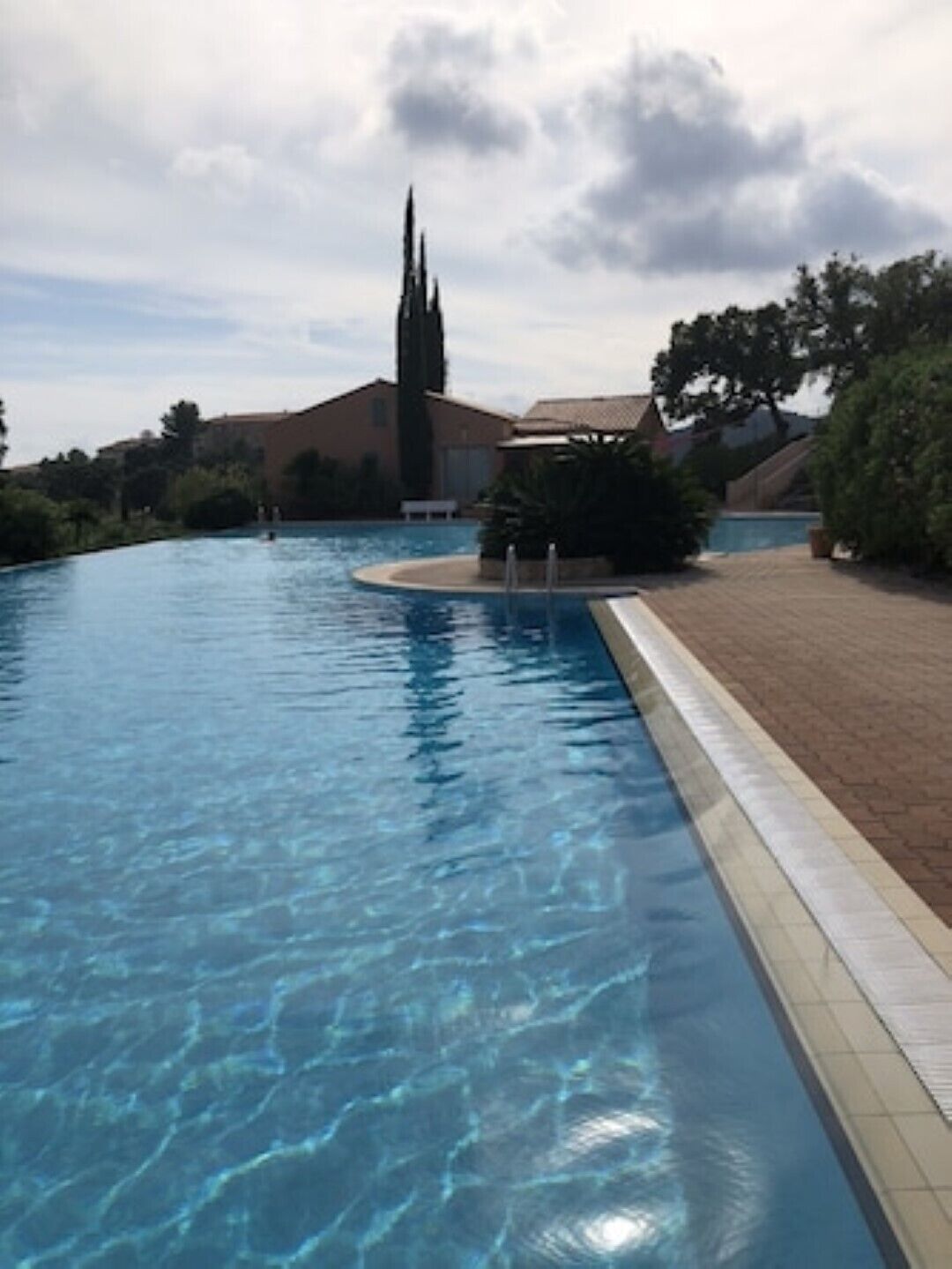 A swimming pool with a tiled edge, surrounded by a brick walkway and greenery.
