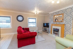 TV, fireplace, books