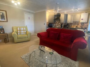 电视、壁炉  、书