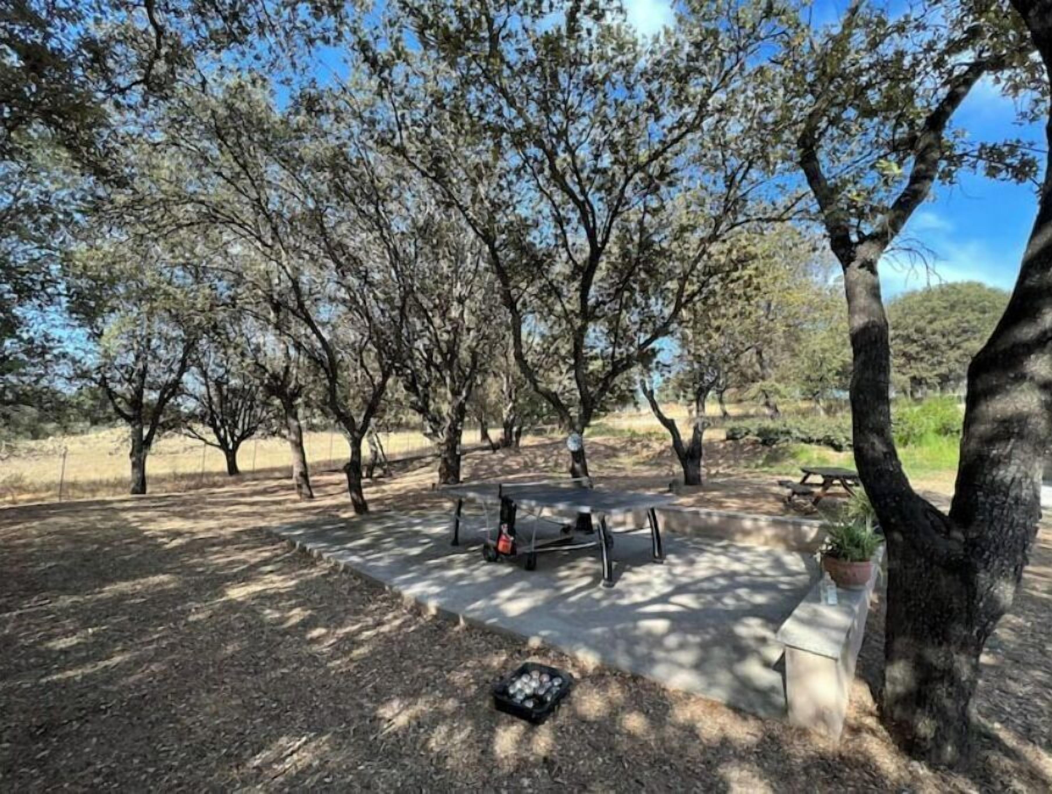 A picnic area with benches and a picnic table, surrounded by trees.