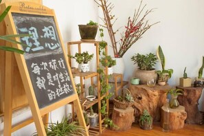 A room with a chalkboard, wooden shelves, and various potted plants. - Dali Ancient Town No. 204 Ideal Youth Hostel (Dali City)