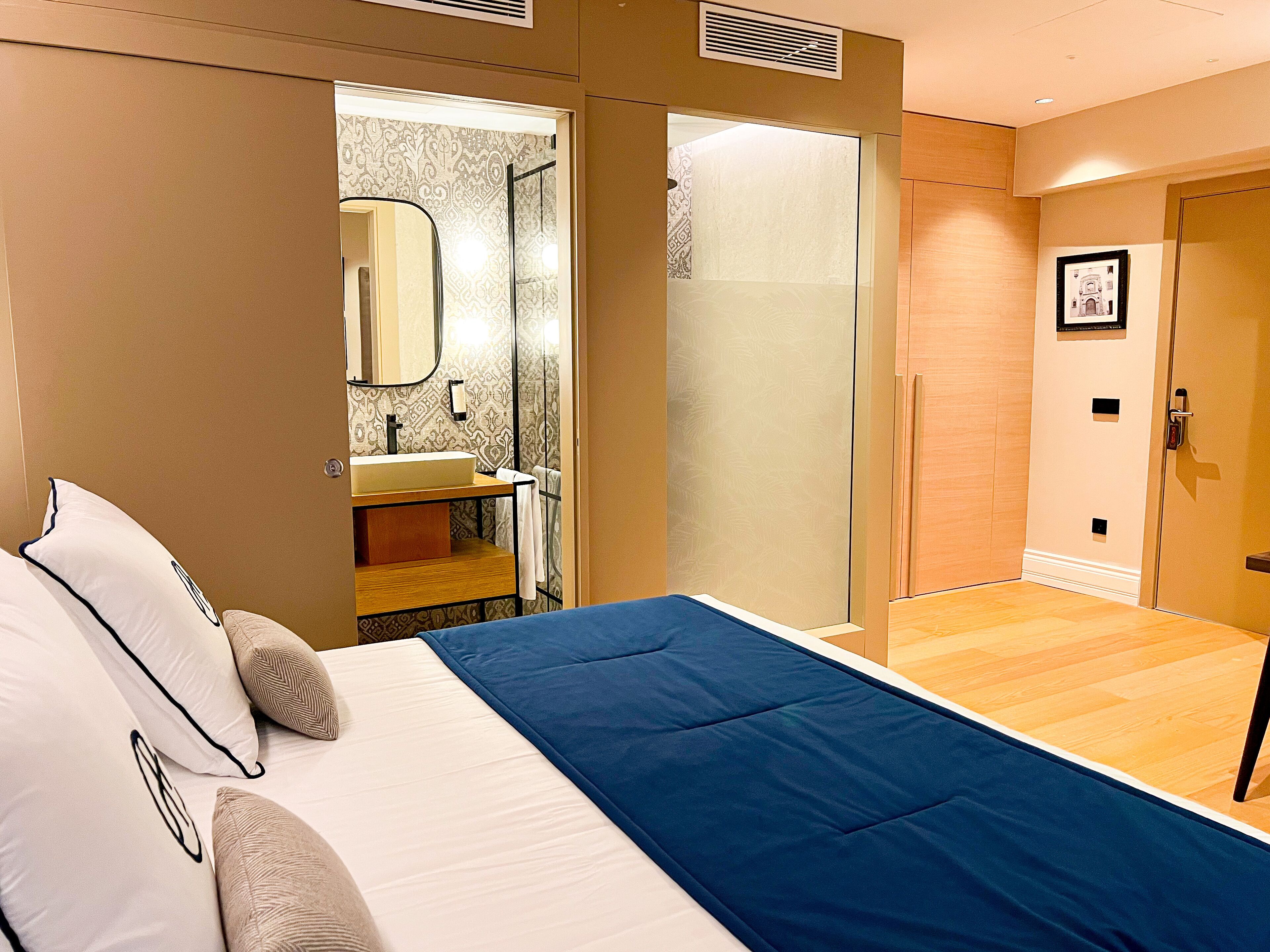 Un dormitorio con cama, un baño con lavamanos y ducha.