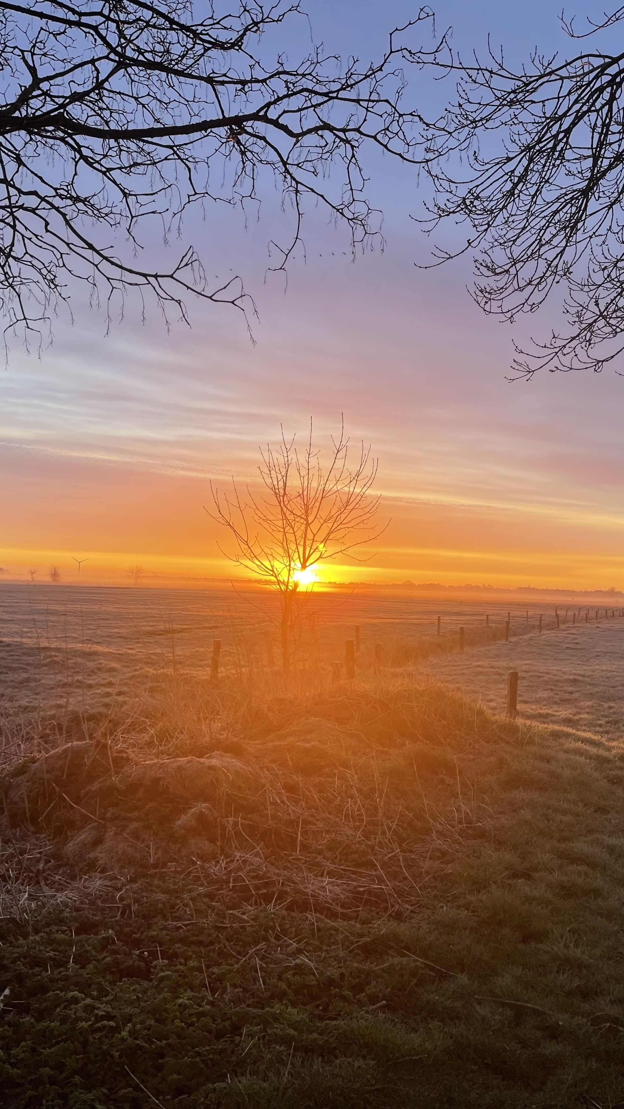 Un coucher de soleil sur un champ, avec une clôture et des arbres sans feuilles.