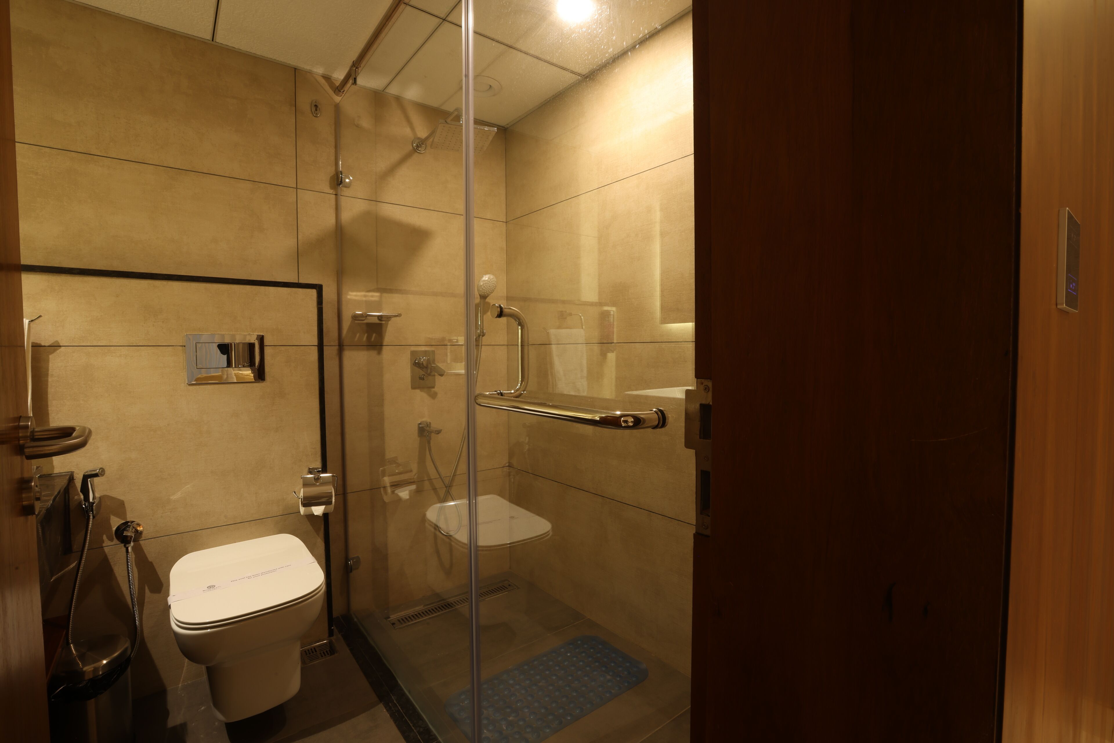 A modern bathroom with a glass-enclosed shower, a toilet, and a handrail.