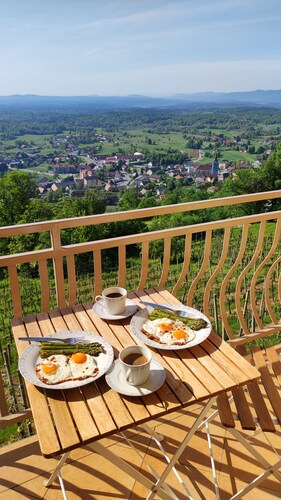 Peaceful paradise among vineyards with charming balcony view. River Kolpa nearby