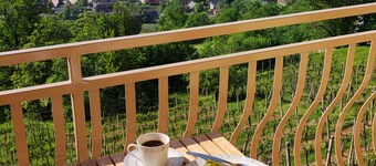 Peaceful paradise among vineyards with charming balcony view. River Kolpa nearby