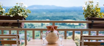 Peaceful paradise among vineyards with charming balcony view. River Kolpa nearby