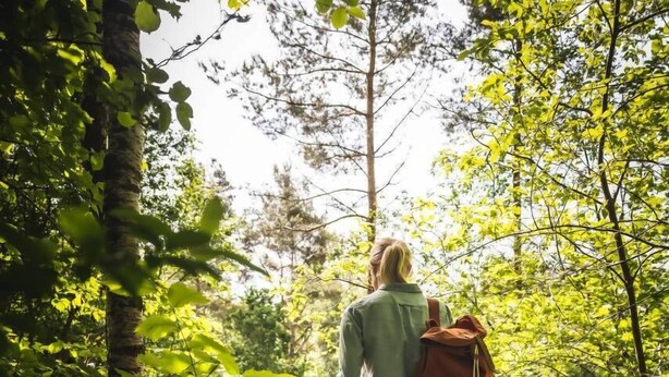 A person walking on a wooden path surrounded by greenery. - Rallarhustruns (Hassleholm)