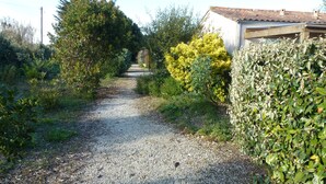 A gravel path leading through a garden with various shrubs and trees. - Cottage Les Roses de mer 4 (Sainte-Marie-de-Ré)