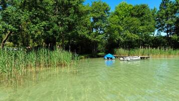 A clear river with a boat docked on the right side, surrounded by dense green trees.