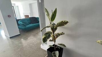 A potted plant in a corner with a marble floor and a teal sofa in the background.