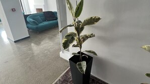 Una planta en maceta en una esquina, con suelo de mármol y un sofá azul al fondo.